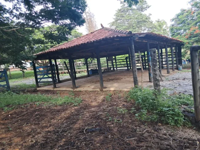 Fazenda 40 alqueires /30 Minutos centros de Montes ,região Pecuária e agricultura .
