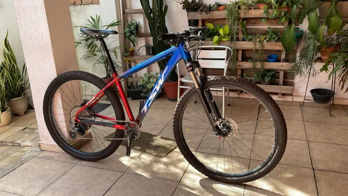 TSW 29