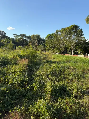 Terreno aceito proposta