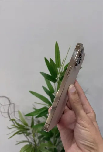 ? iPhone 13 Pro Max