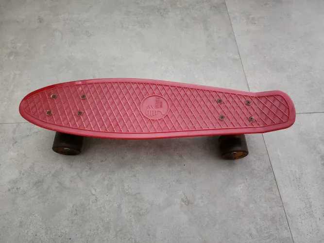 Skate Venice Origens