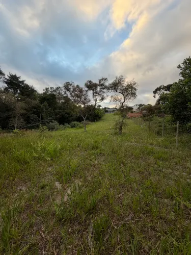 ? LOTES À VENDA EM CURRALINHO - MATA DE SÃO JOÃO/BA ?