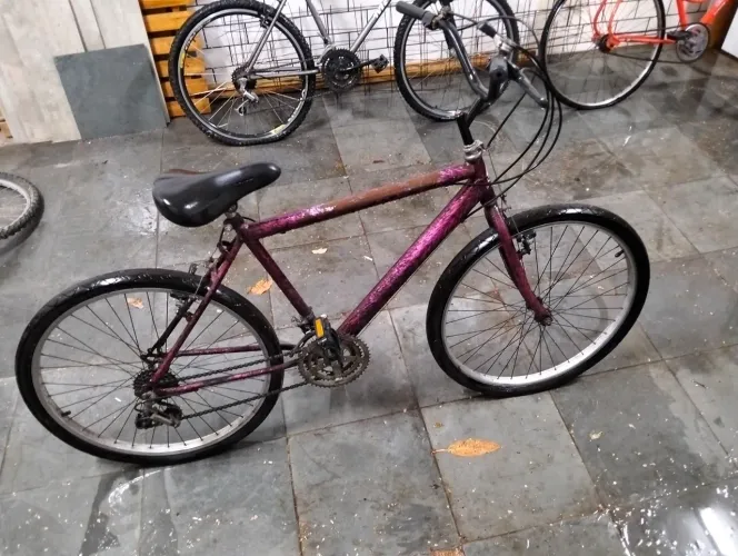 bicicleta
