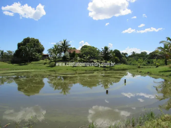 Sítio de 11.000m2 Todo Murado - Oportunidade