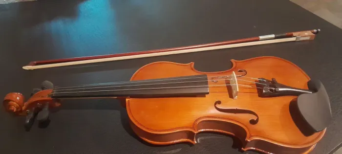 Violino parrot 19 perfeito estado
