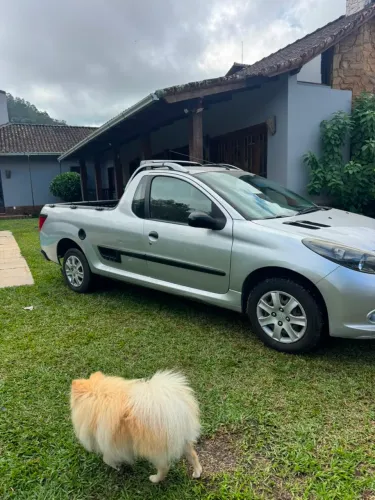 Peugeot Hoggar XR 1.4 Flex 8V 2P 2011