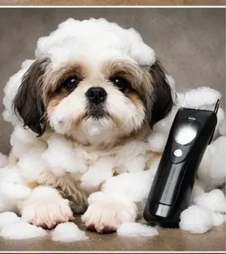 Banho e tosa a domicílio 