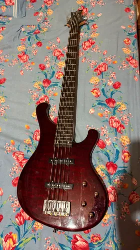 Contra Baixo 5 Cordas Strinberg Sab500 Twr Ativo