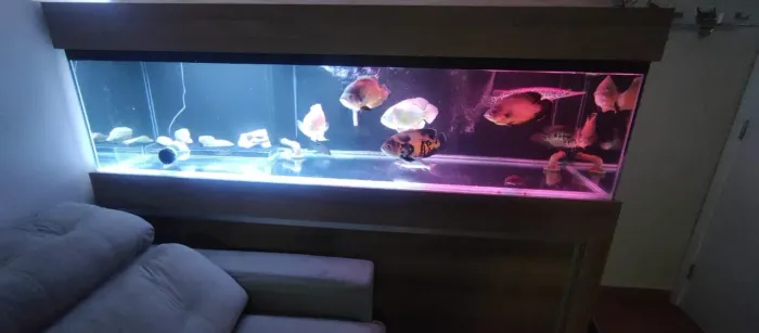 Vendo aquario jumbo 2x50x60 sump 150x50x50