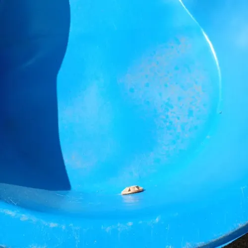 Caixa de piscina 1000L
