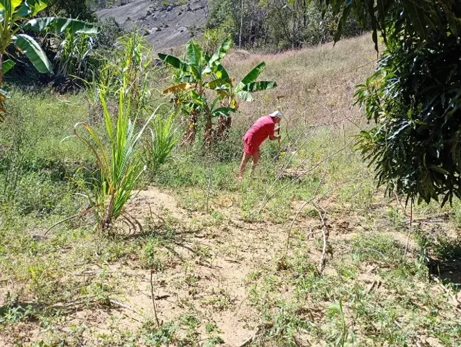 Terreno em Santa Maria jetiba