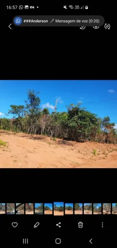 Transfiro Terreno PALOMAR