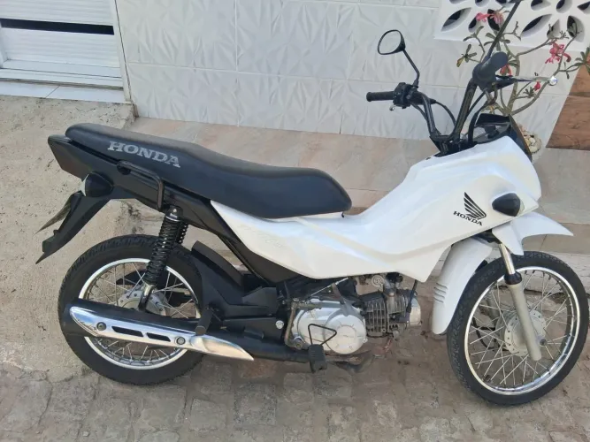 Vende-se  pop 2023