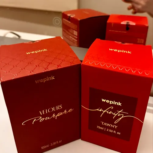 Lançamentos Wepink