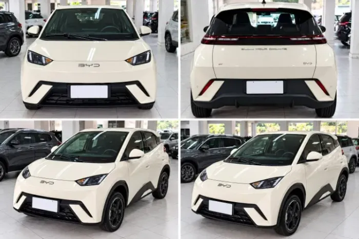 BYD Dolphin Mini (Elétrico) 2025