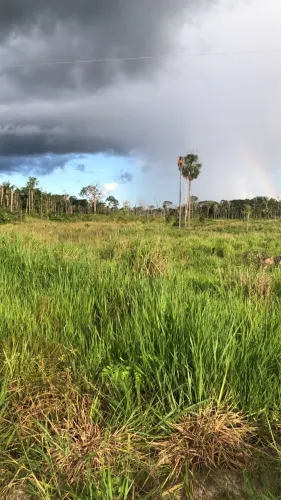 Vendo fazenda diamante