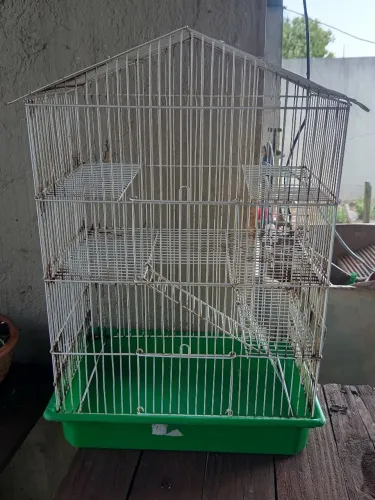 Gaiola pra roedores 