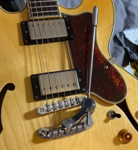 Sistema tremolo tune-o-matic