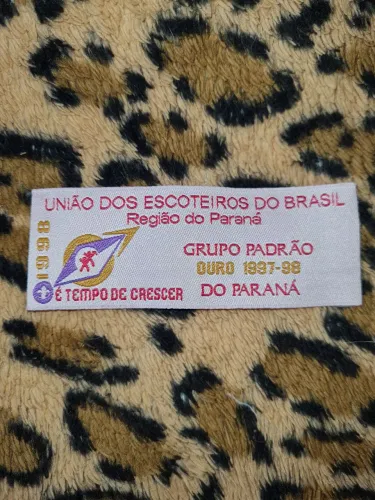 Distintivo Escoteiro - Grupo Padrão 1998 Paraná 