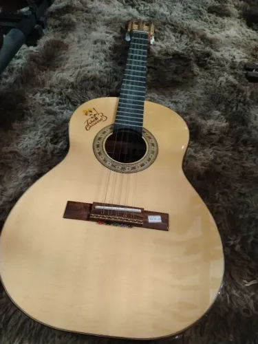 Viola rozine Tião carreiro profional