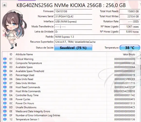 Flash M2 Nvme KBG40ZNS256G NVMe KIOXIA 75% saúdavel