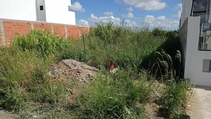 Lote em Rua Torquato Neto - Veredas - Campos dos Goytacazes/RJ