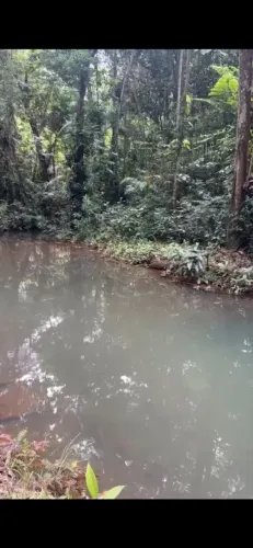 TERRENO COM IGARAPÉ PRIVATIDO DOCUMENTADO