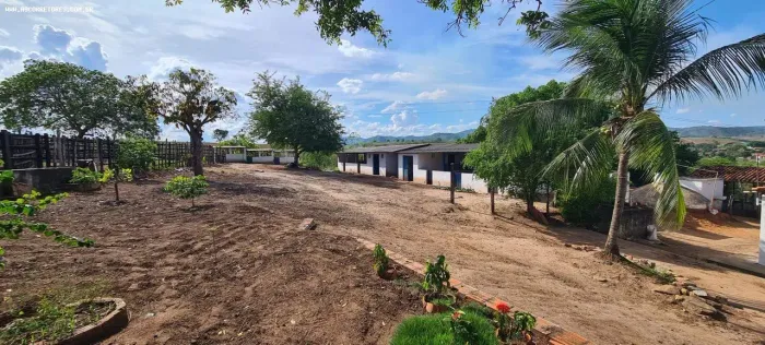 Chácara para Venda em Cuitegi, 3 dormitórios, 1 banheiro, 1 vaga