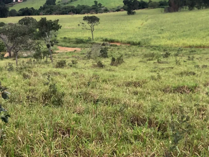 Fazenda  top