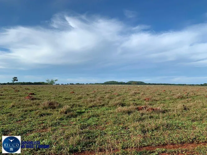 Fazenda à Venda em Santa Fé de Goiás 159 Alqueires | 105 Abertos