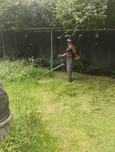 Serviço profissional em jardinagem corte de grama limpeza de terreno e poda 