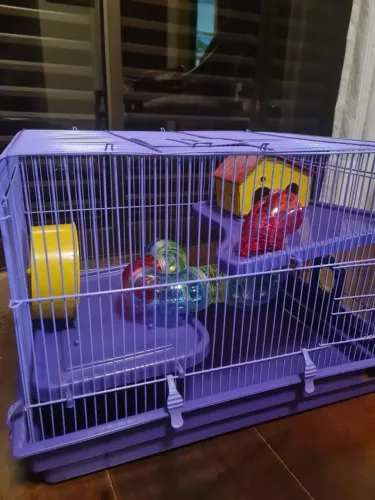 Gaiola hamster