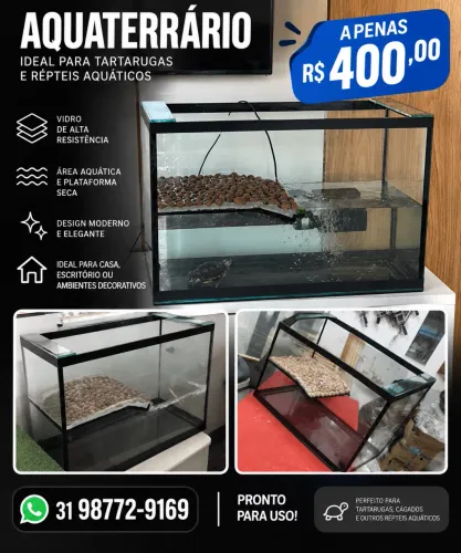 Aquaterrario para tartaruga