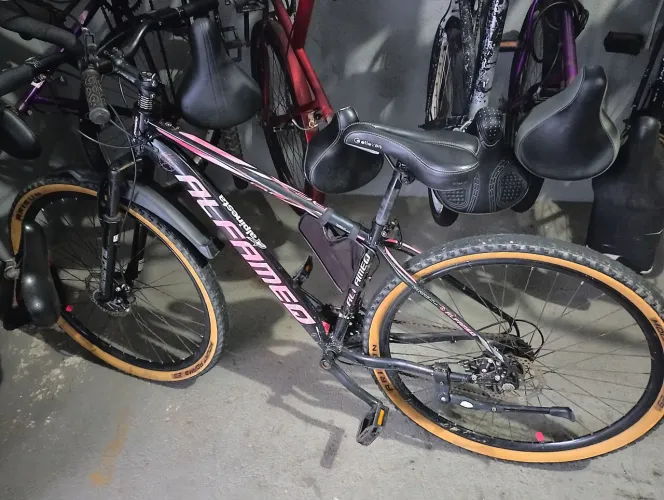 Bicicleta