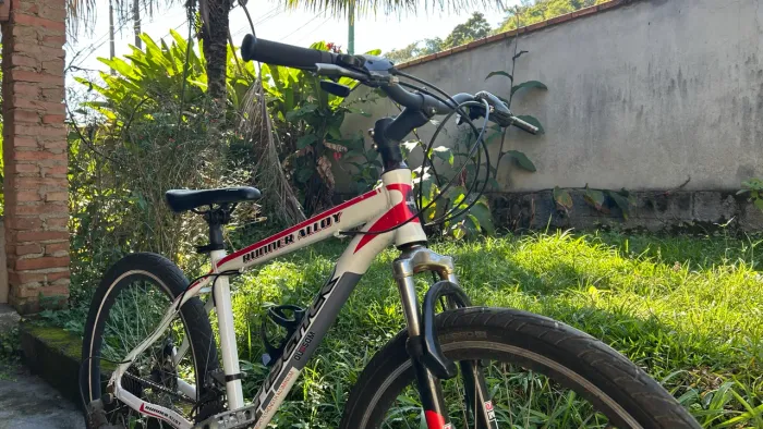 Bicicleta | Bike Fischer