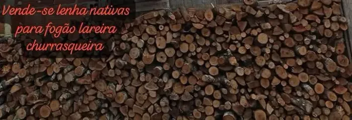 Lenhas nativas cortadas pronto uso fogão lareira churrasqueira