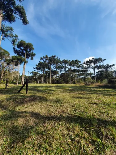 TERRENO RURAL em CAMPO ALEGRE - SC, Rio Vermelho