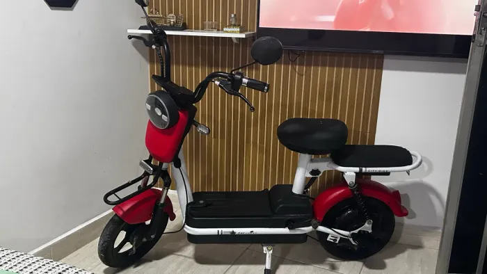 BICICLETA ELÉTRICA BEE