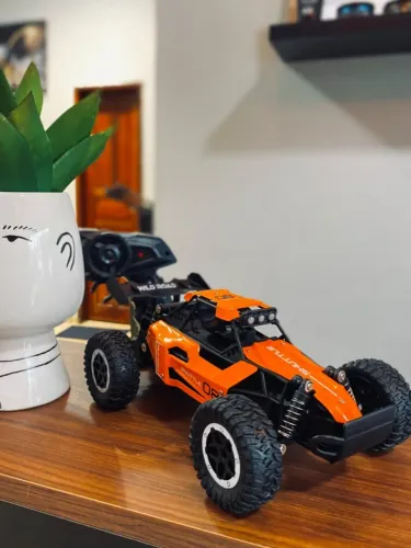 Carrinho Off Road RC 4x4 Resistente