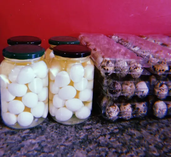 Ovos para consumo e conservas