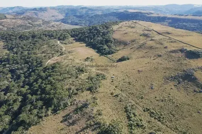 Área Rural com 100,00ha de área total, para venda.