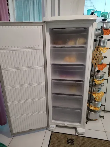 Freezer Vertical 
