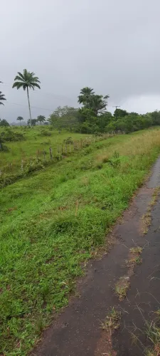 Vendo fazenda em Nazaré das farinha