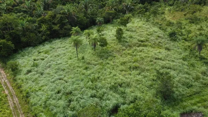 Fazenda em Dois Irmãos. 58 mil por alqueire.