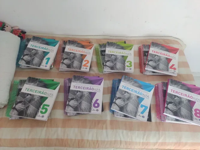 Apostilas extensivo ANGLO - 2024