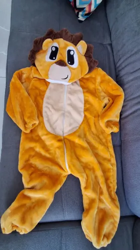 Fantasia de Leão e Panda Infantil