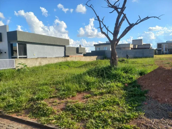 Oportunidade Rara