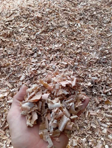 Maravalha R$ 5 levar o saco