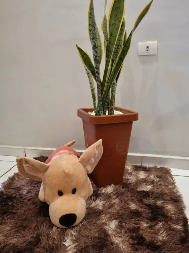 Linda pelúcia cachorro grande 75cm