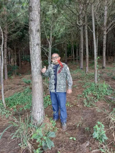 Sítio em estrada principal do córrego das moças - Feital - Adrianópolis/PR